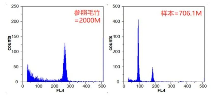 基因组大小检测图谱